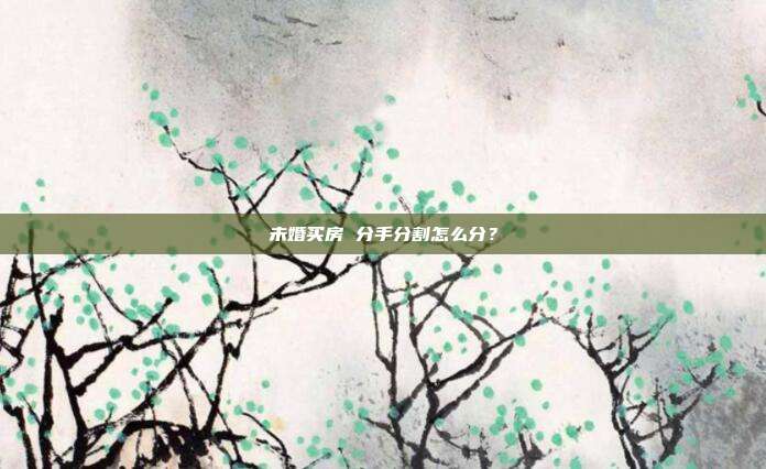 未婚买房 分手分割怎么分?