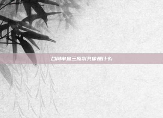 合同审查三原则具体是什么