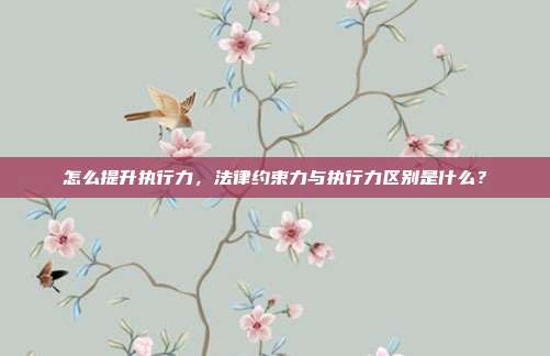 怎么提升执行力，法律约束力与执行力区别是什么？