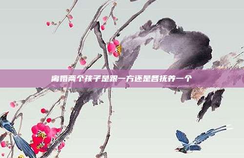 离婚两个孩子是跟一方还是各抚养一个