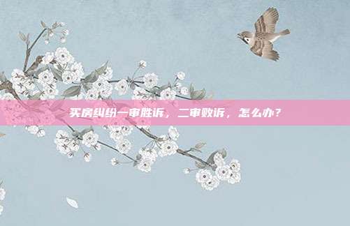 买房纠纷一审胜诉，二审败诉，怎么办？