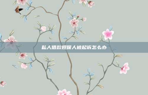 私人借款担保人被起诉怎么办