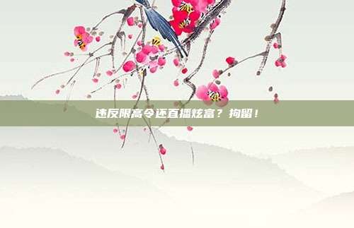 违反限高令还直播炫富?拘留!