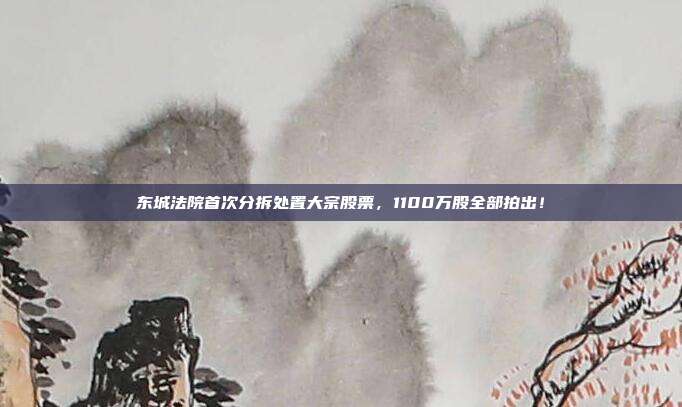 东城法院首次分拆处置大宗股票,1100万股全部拍出!
